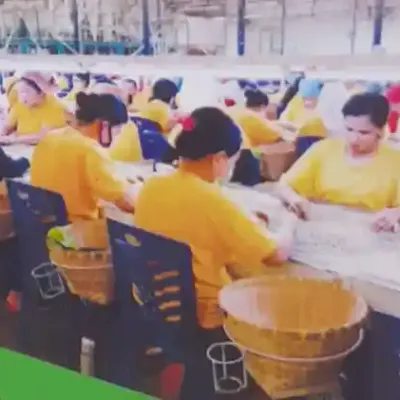 Jasa Buruh Pabrik Medan